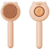 아프리콧(살구)