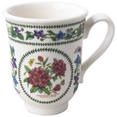 스위트 윌리엄 × 1개