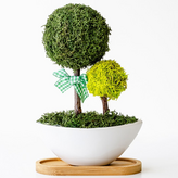 02_모스그린 × 1개