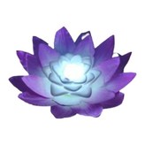 꽃송이형연꽃(보라) × 1개