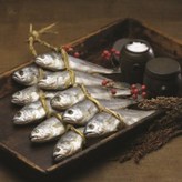 1.8kg이상(20마리)