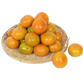 02_단감 10kg(61-70과,중과) × 1개