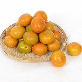 04_단감 10kg(41-50과,대과) × 1개