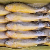 3.4kg(대, 14-16마리) × 1개