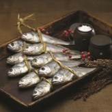 1.2kg이상(20마리)