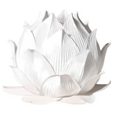 백색 × 50개