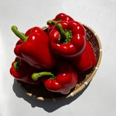 빨강파프리카 1kg × 1개
