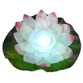 꽃송이형연꽃(백색) × 1개