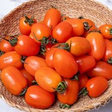 스테비아 방울토마토1kg