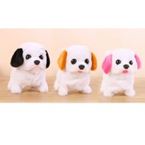 고급강아지-브라운 × 1개