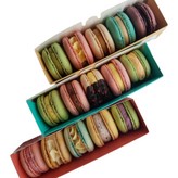 1개 × 베이직 04