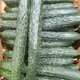 10kg(못난이) × 1개