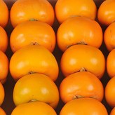 03_단감 10kg(51-60과,중대과) × 1개