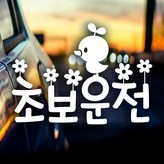 화이트