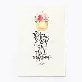 꽃같은 그대 × 1매