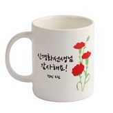 카네이션스승의날선물_화이트 × 1개