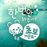 169_한번봐주초보곰_반사