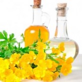 C13. 유채(카놀라)오일 100ml × 1개