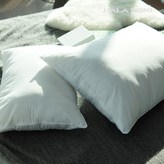 01. 방석솜 50x50 × 1개