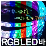 띠색상(블랙) × 1개