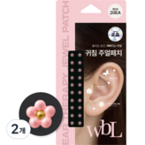 샤벳 핑크