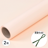 14.연살구색