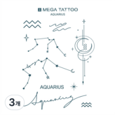 Aquarius 물병자리