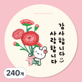 옵션10. 토끼가 든 카네이션