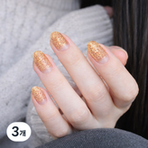 13 샴페인골드[ZE848]