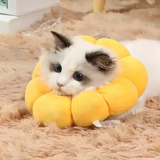 DING DONG PET 寵物蓬鬆向日葵頸圈靠墊, 黃色