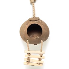 椰子吊床, 混合顏色, 1個