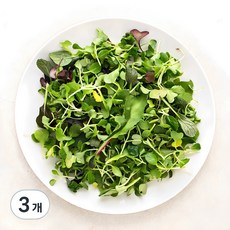 베이비채소, 50g, 3개