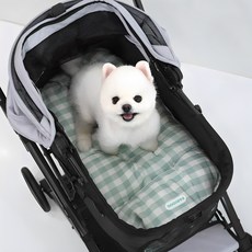 ParisDog 狗狗Brief格紋推車坐墊靠墊, 薄荷綠