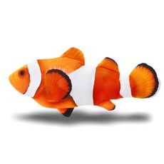 Tamsaa 小丑魚造型寵物玩具, 1個