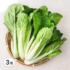 국내산 얼갈이, 800g, 3개