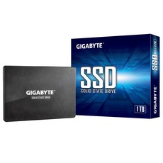 GIGABYTE 技嘉 SSD固態硬碟, 1TB, GP-GSTFS31100TNTD