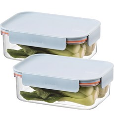 락앤락 비스프리 모듈러 플러스 직사각 민트, 2개, 910ml