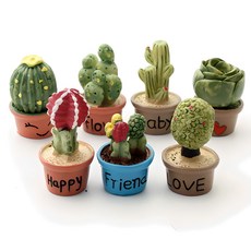 FORES 多肉植物迷你7件組, 混合色