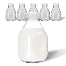 미르코리아 따다닥 사각 주스 밀폐 유리병, 300ml, 6개