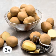 국내산 햇 감자, 1kg, 3개
