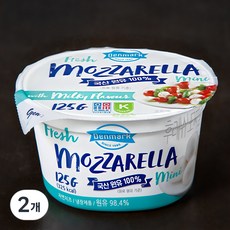 덴마크 후레쉬모짜 미니, 125g, 1개입, 2개