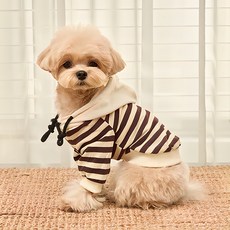 petitdog 寵物犬用條紋連帽T恤, 單色