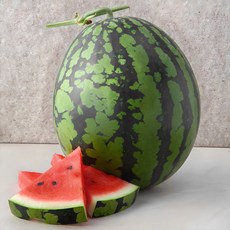 곰곰 당도선별 수박, 3kg 이상, 1개