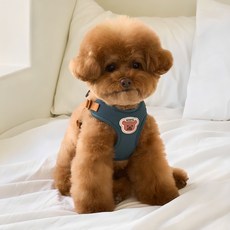 BENNYS 狗狗一鍵式胸背帶, 綠色