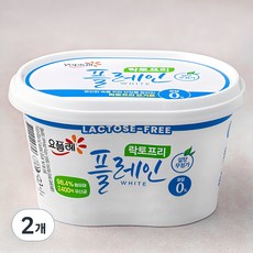 요플레 빙그레 플레인 화이트 락토프리, 430g, 1개입, 2개