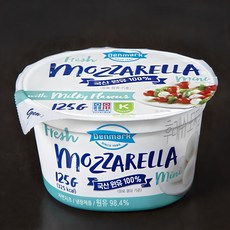 덴마크 후레쉬모짜 미니, 125g, 1개입, 1개