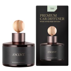 에이센트 차량용 디퓨저, 그린에어리, 1개
