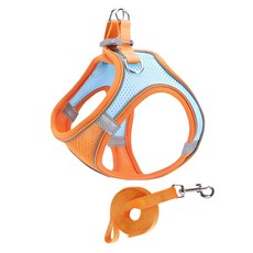 PAI Good Time 胸背帶 + 牽繩套組, 藍橘色, 1套