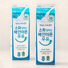 남양유업 맛있는우유GT 소화 잘되는 배 안아픈 단백질 우유, 900ml, 2개