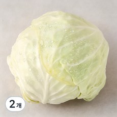 강원 양배추, 1개입, 2개